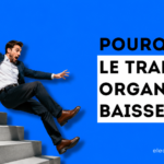 trafic organique baisse