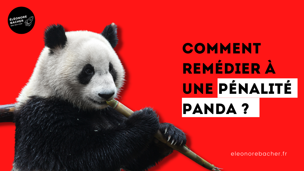 pénalité panda