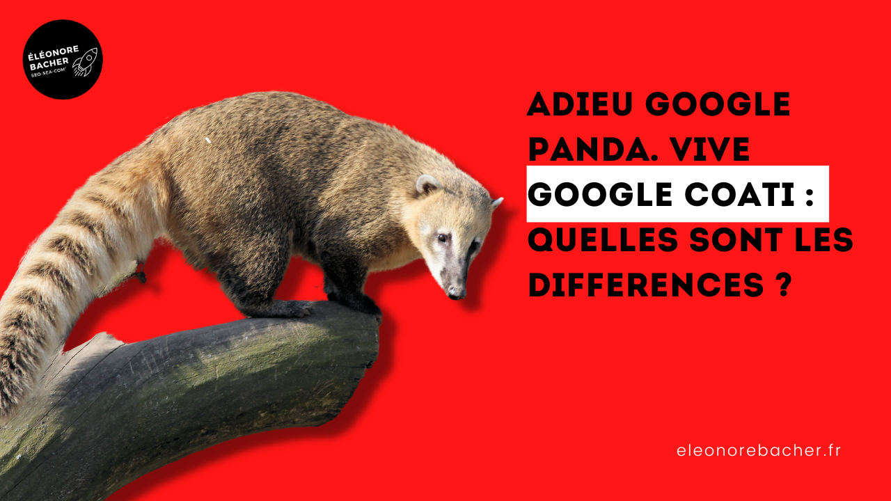 Google Coati